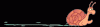 Animations - 058